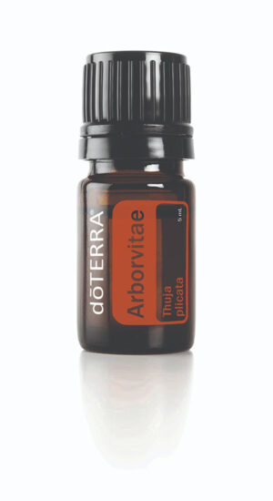 Ulei esențial de Arborele Vieții (Arborvitae) doTerra (5 ml)